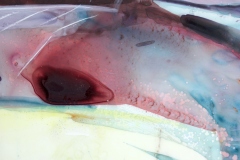 Detail-4