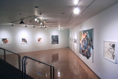 02.-Zahra-Nazari-Deconstructing-Scapes-Installation-2013-Hartnett-Gallery-University-of-Rochester-NY