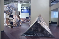 03.-Inside-Out-Installation-Acrylic-on-Wood-Panels-100x110x36-and-48x30x36-inches-2014