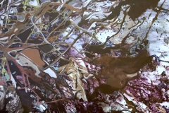 Landscape-18-detail-6