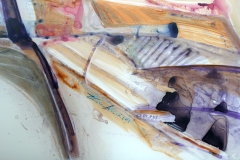Summertime-detail-3